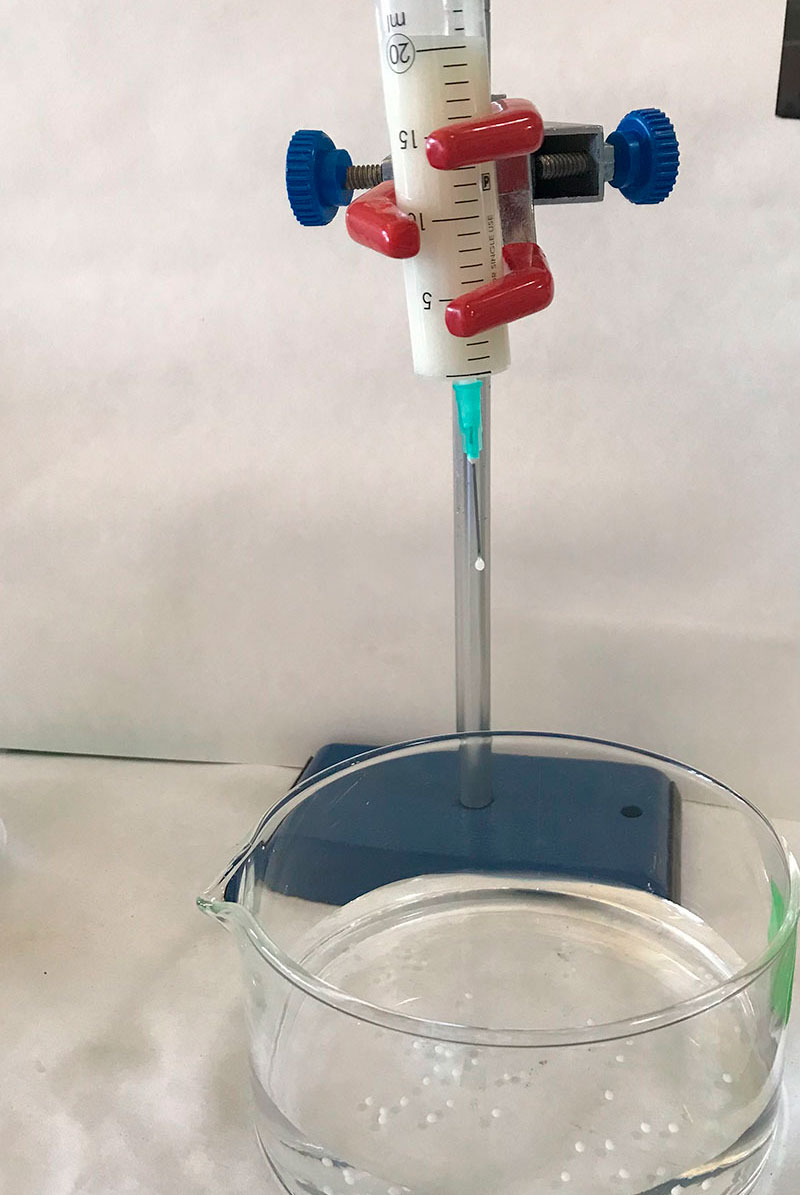 Foto 1 proyecto SOILCARE